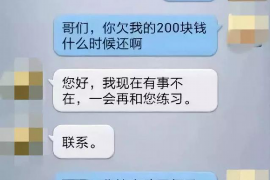 大丰为什么选择专业追讨公司来处理您的债务纠纷？